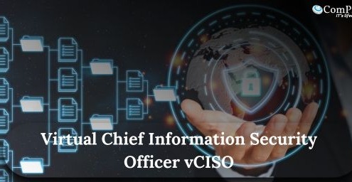 virtual ciso