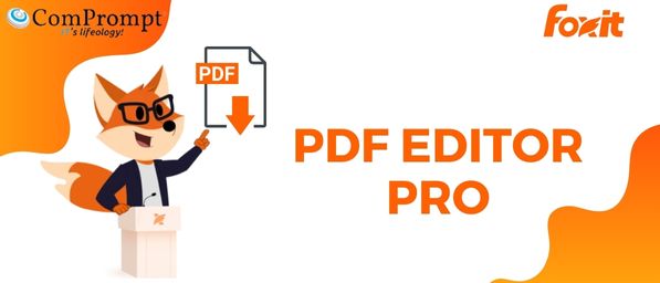 PDF Editor Pro